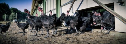 Sortie des bâtiments